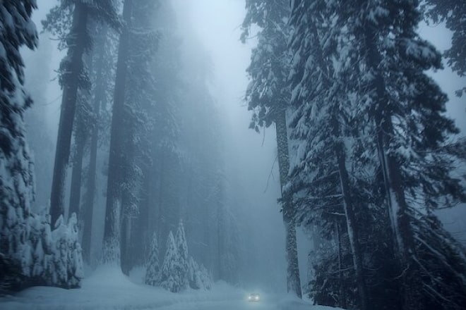 Voyagez en toute confiance durant l’hiver en sachant qu’OnStar veille sur vous.