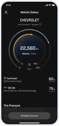 Vehicle Status feature available on OnStar's vehicle mobile app.